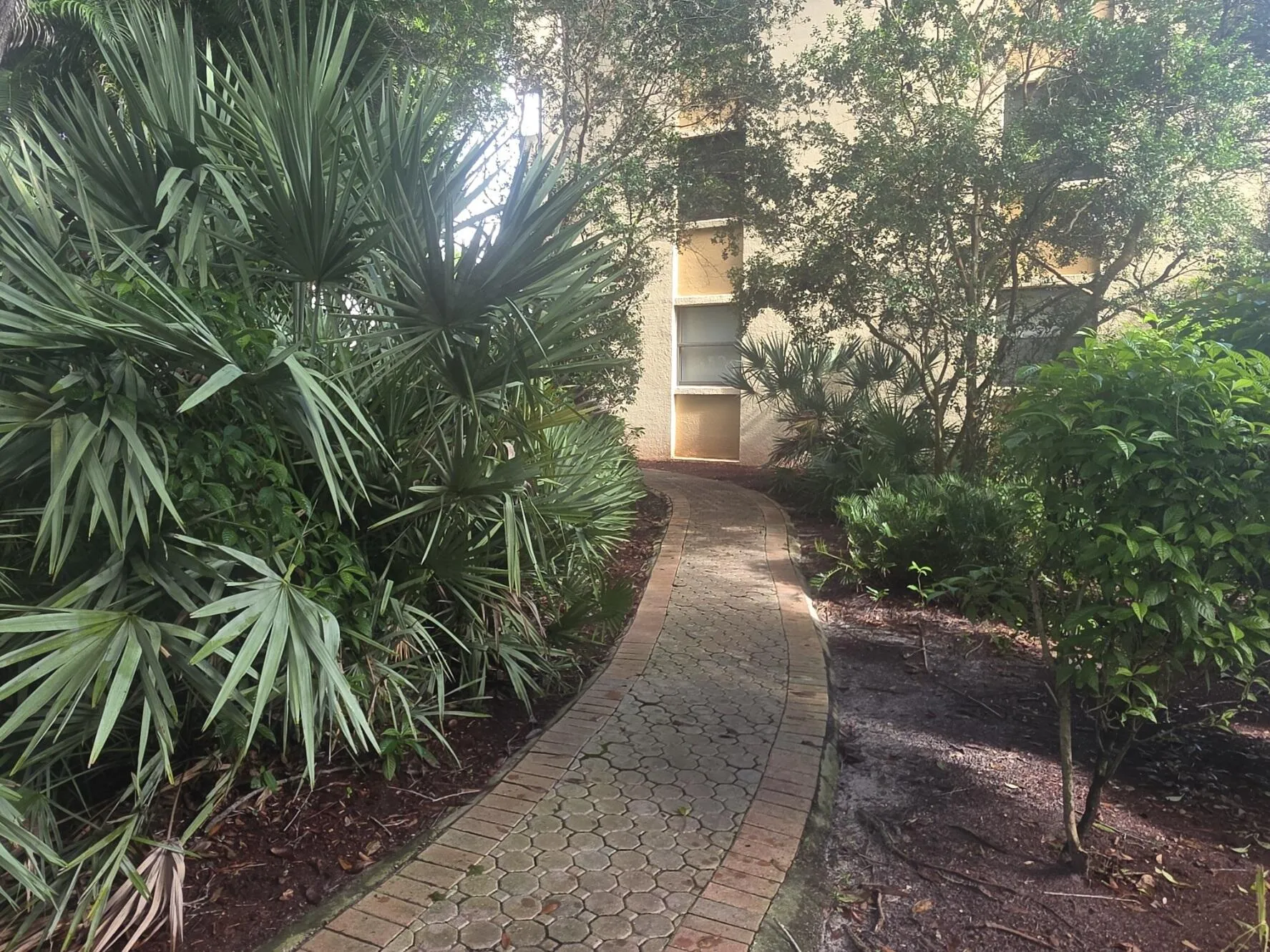 PATHWAY FROM THE POOL GREENGLADES