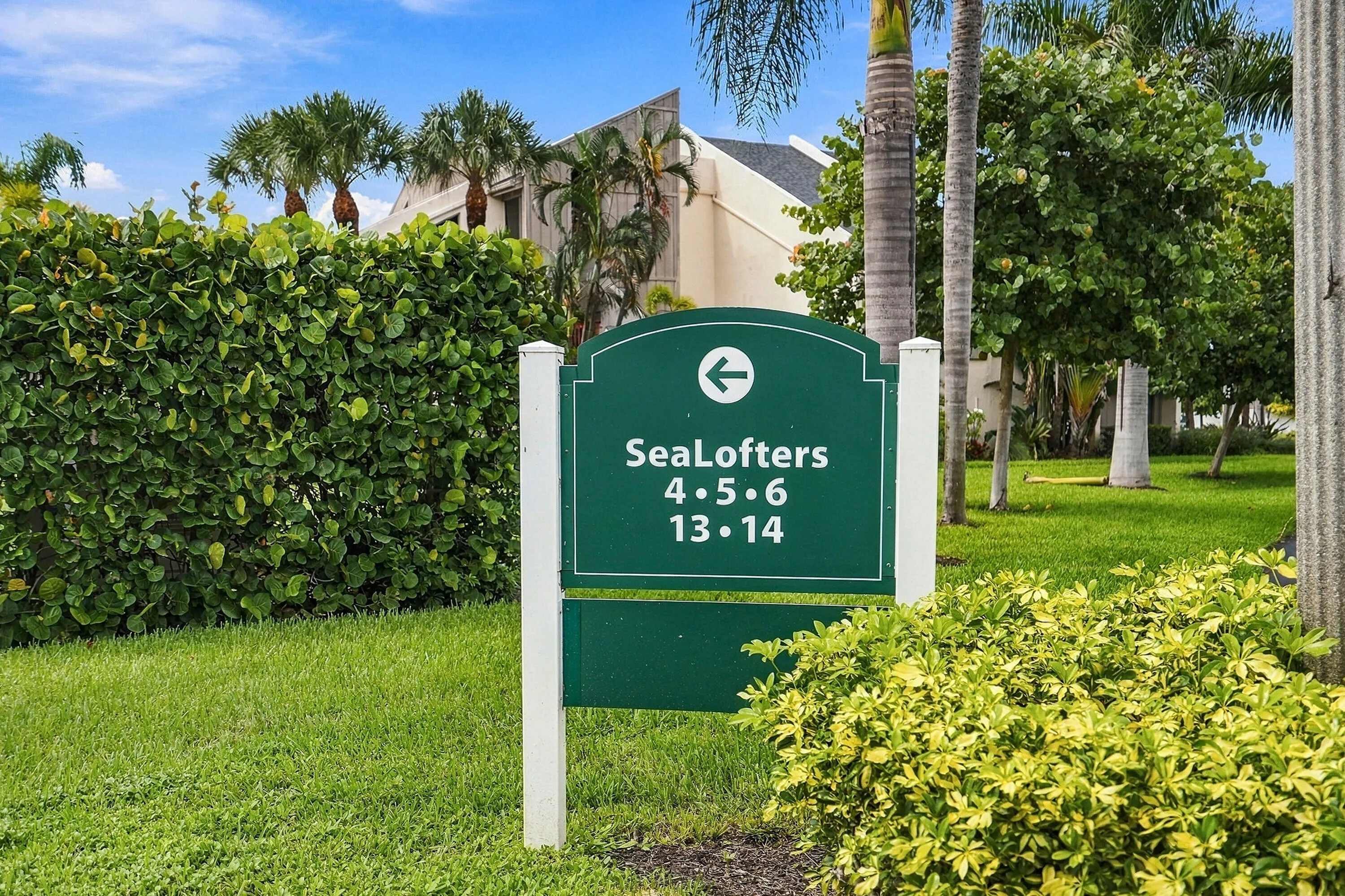 Sea Lofters