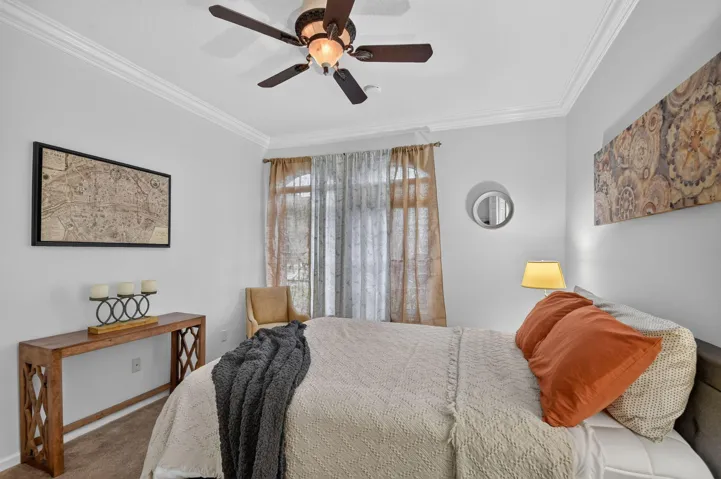 Pretty Decorative Fan