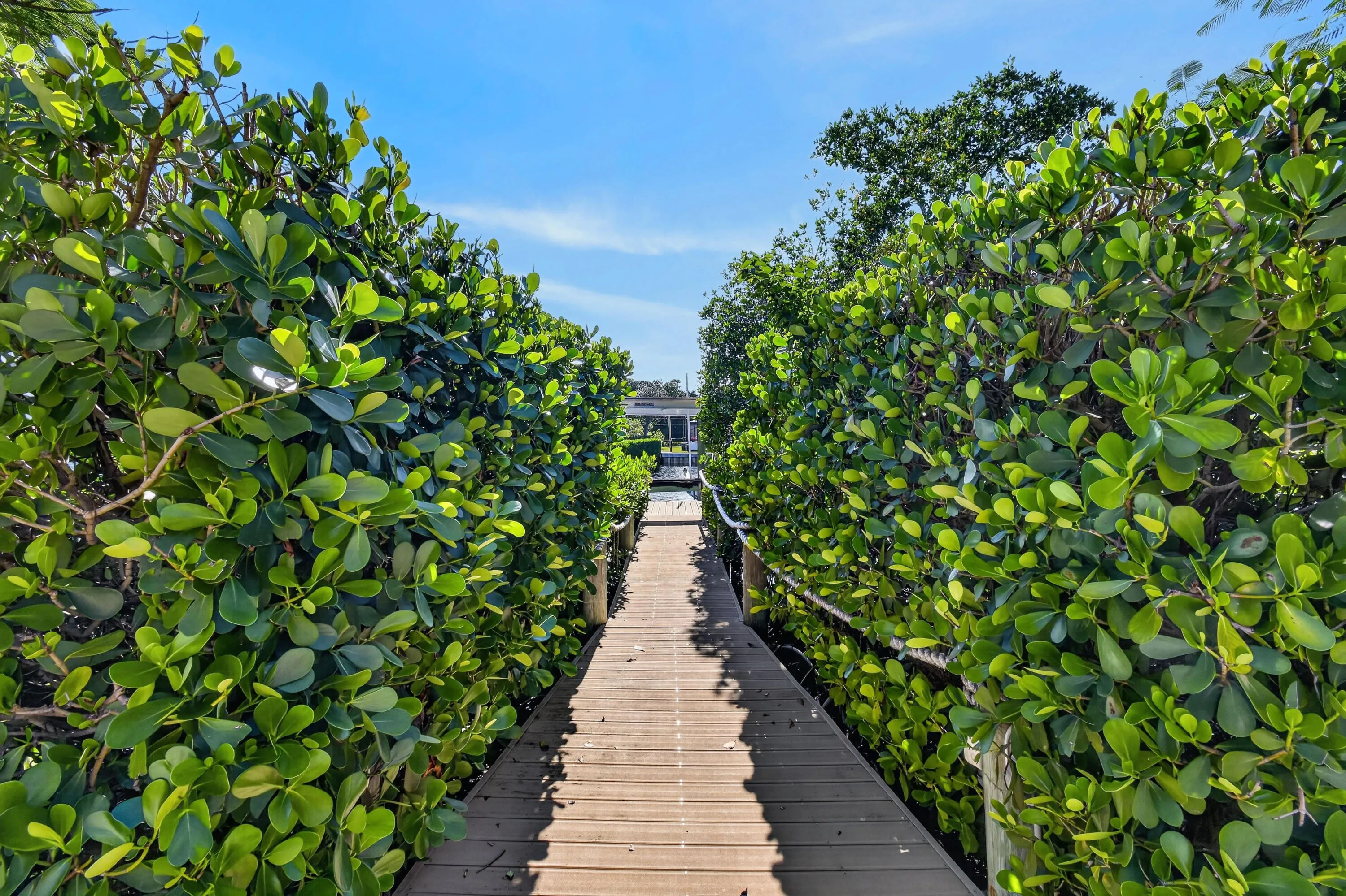 Property photo 68