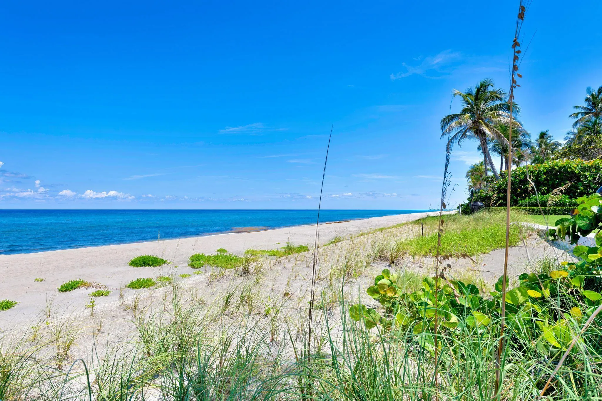 2295-S-Ocean-Blvd-Apt-517-PB-MLS-009