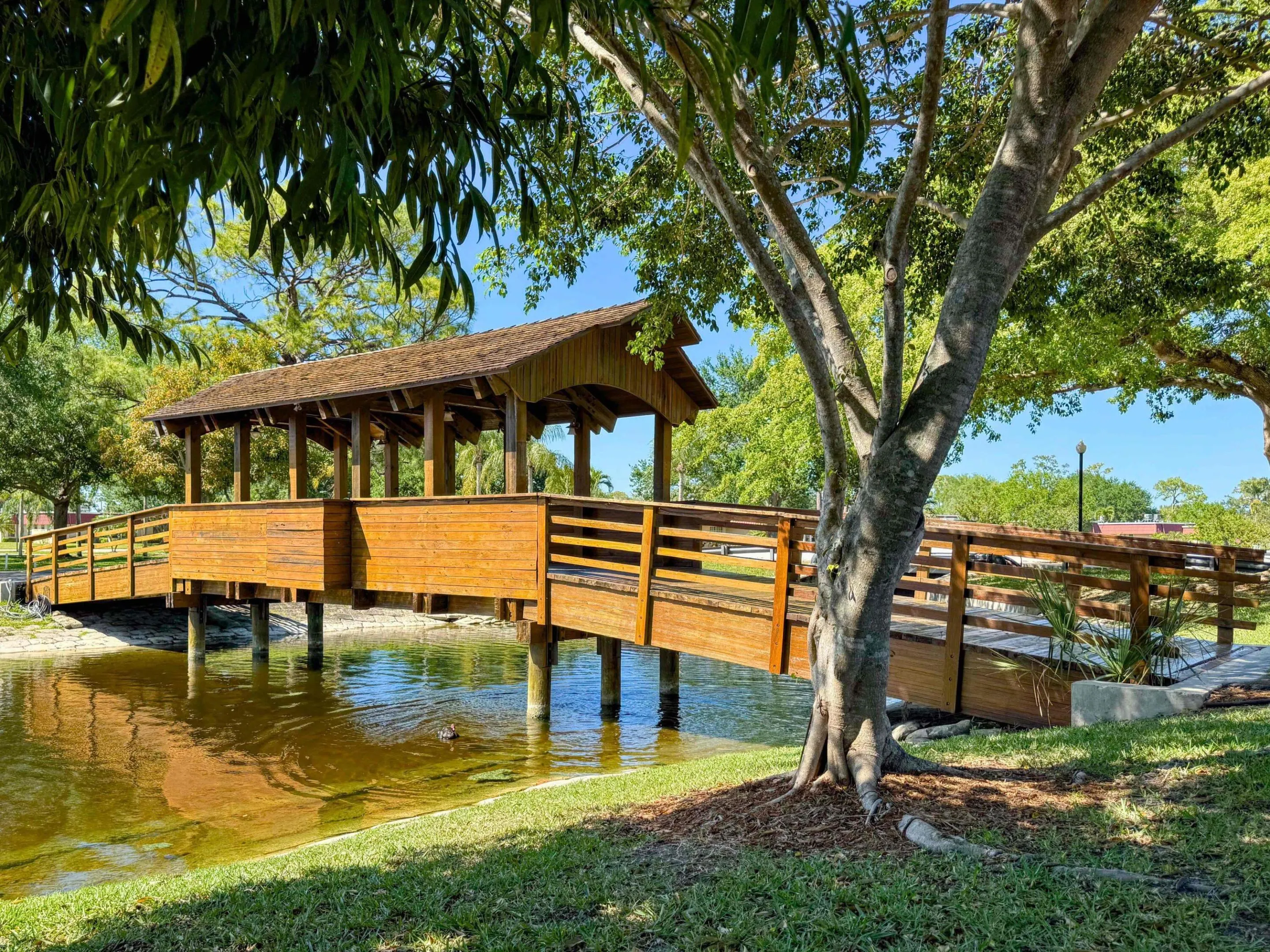 Wood Bridge