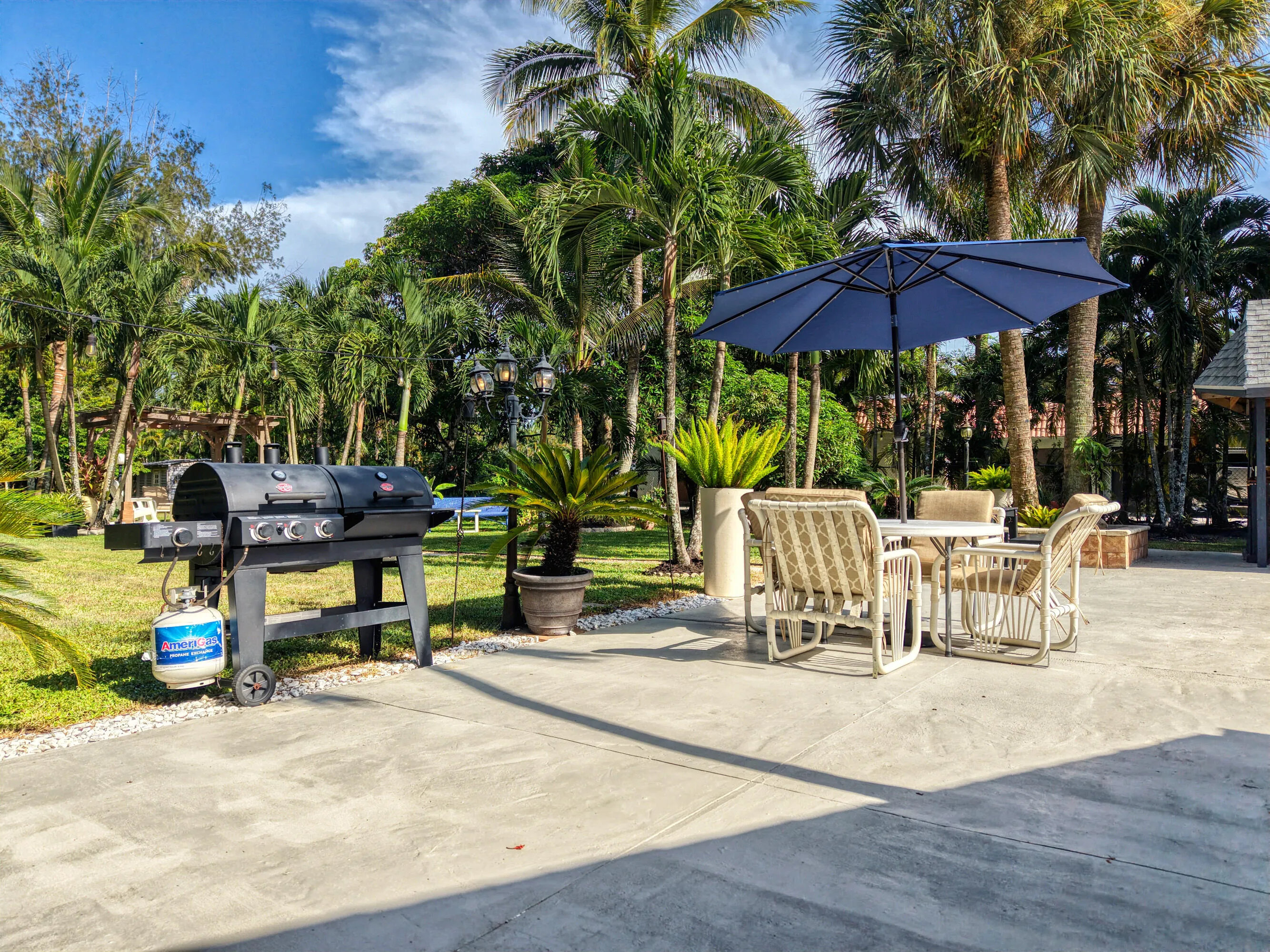 30 Backyard Views (6)