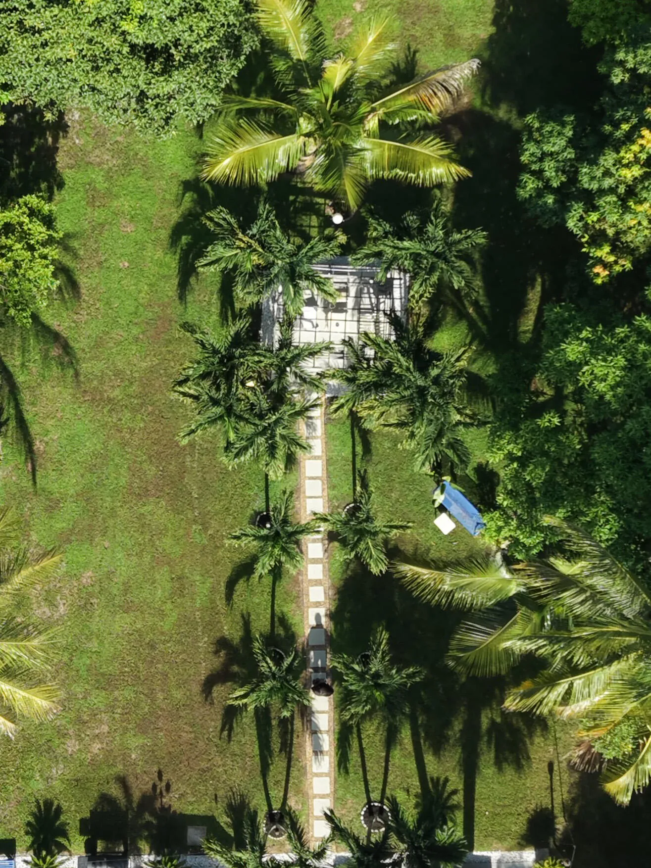 30 Backyard Views (1)