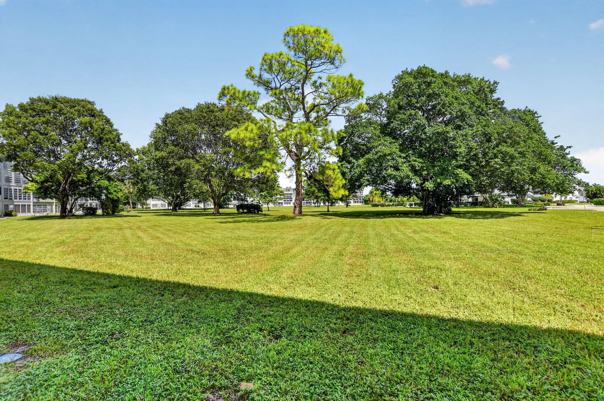 Backyard View