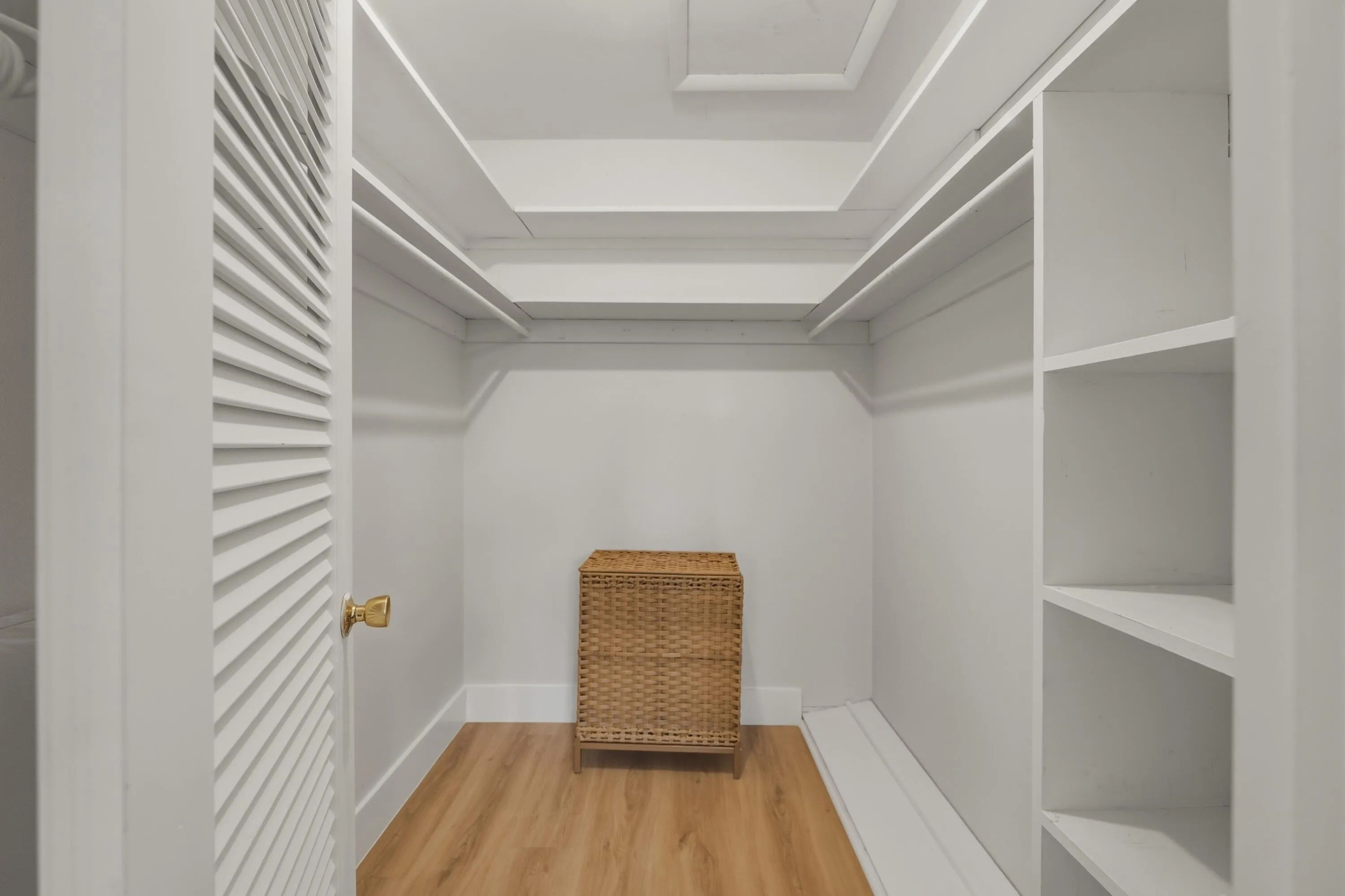 Primary Walk-In Closet