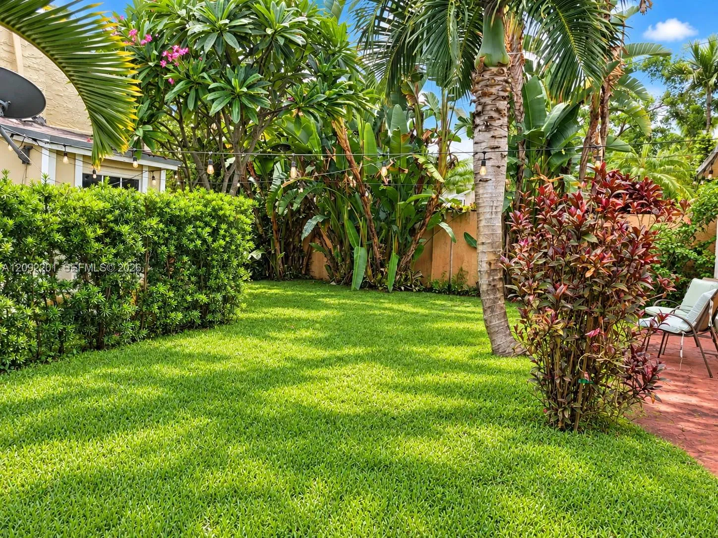 Lush, tropical yard
