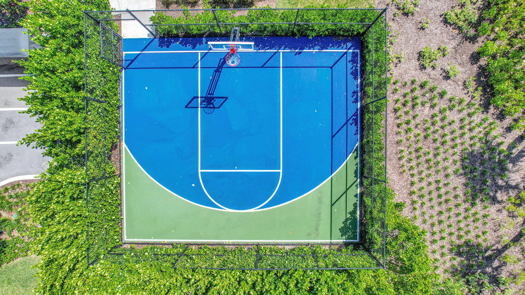 Basketball