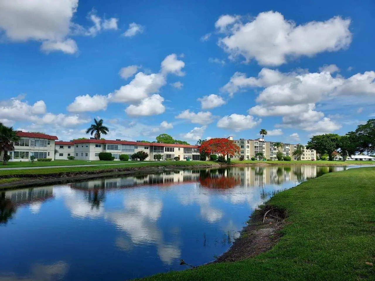 Lake view