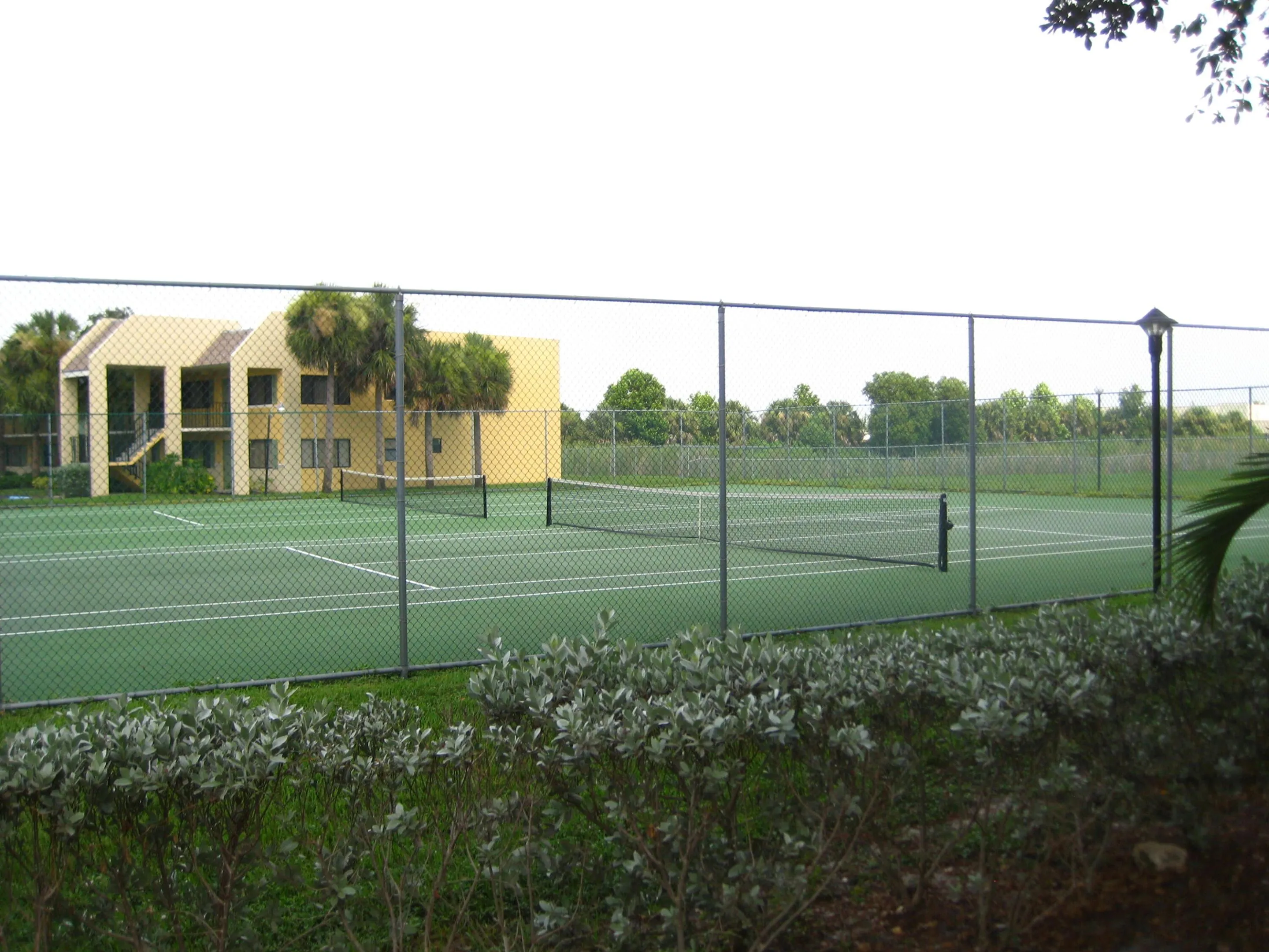 tennis