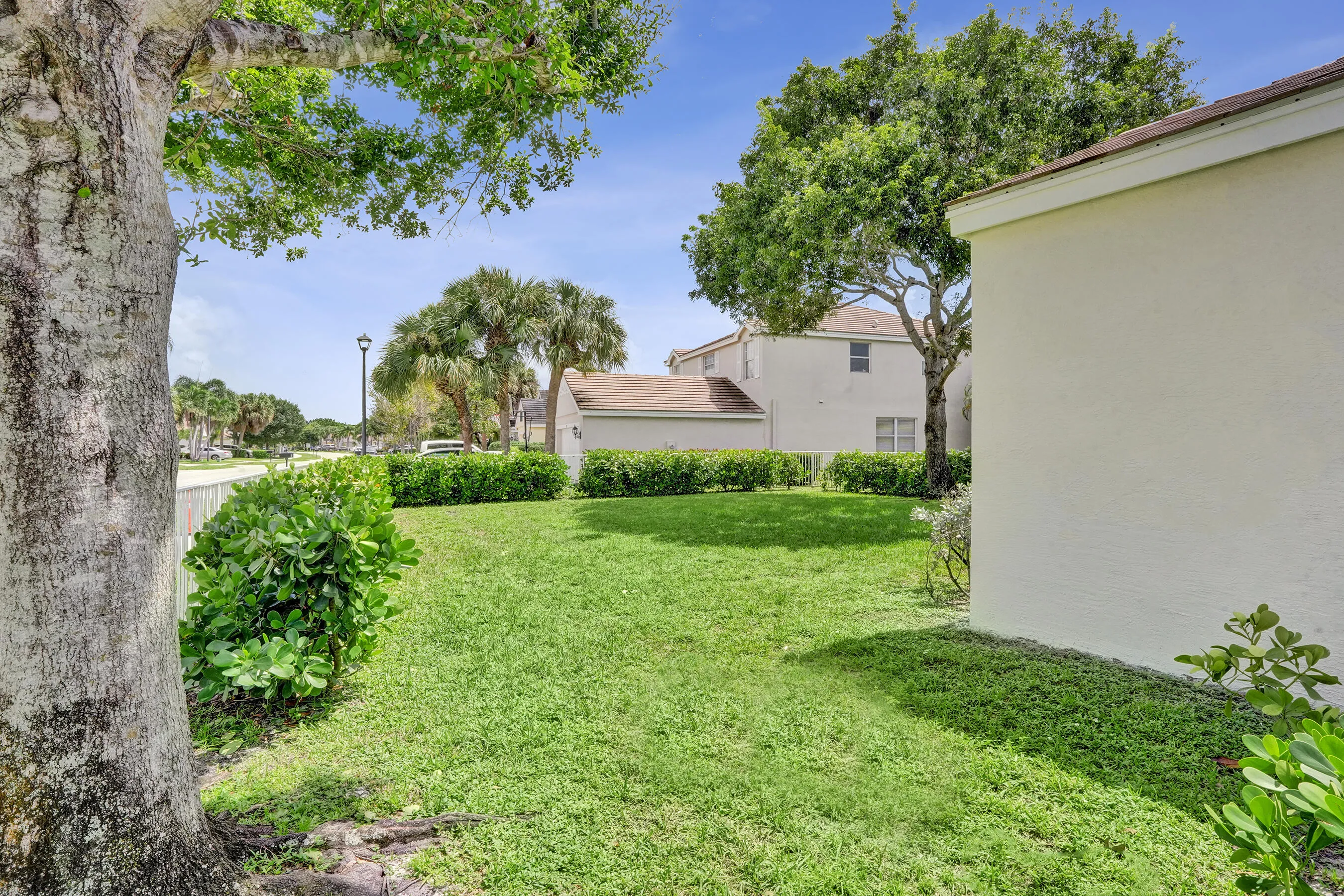 Expansive lawn featuring mature trees and established perimeter shrubs