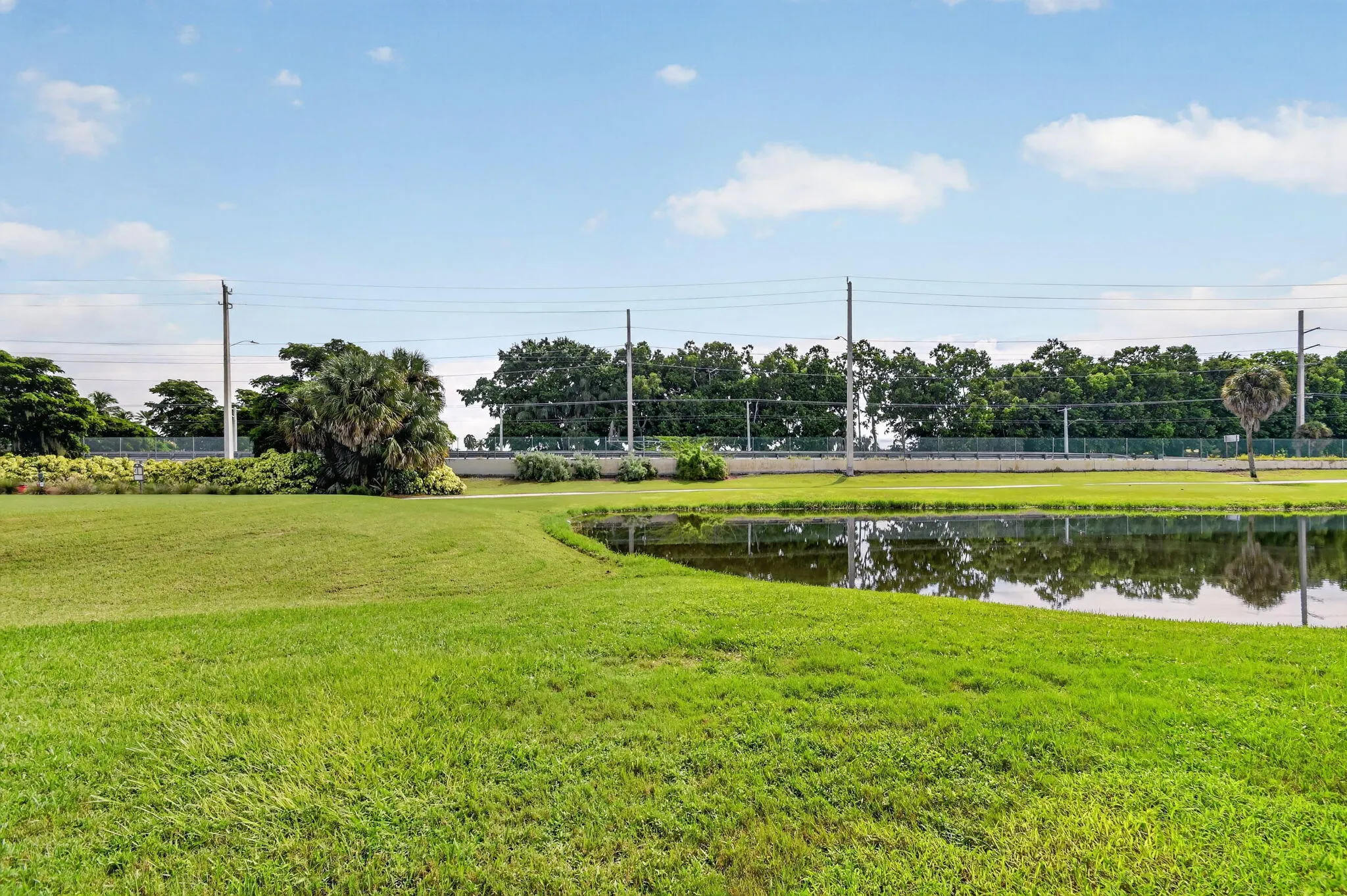49-web-or-mls-DSC_4324