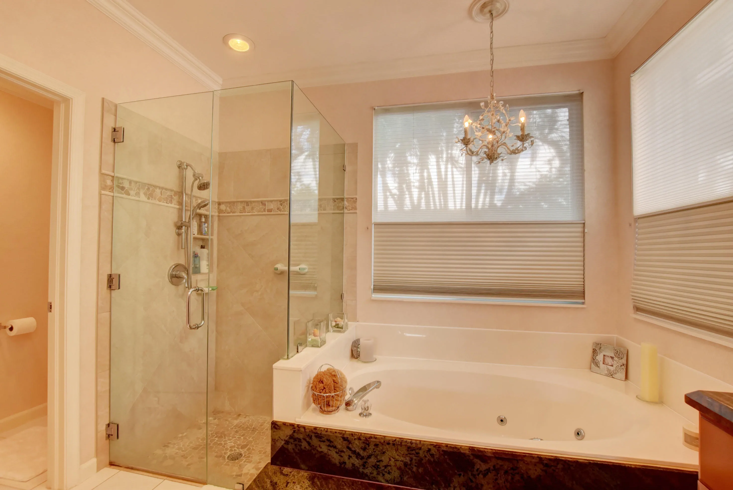 Master bath jacuzzi and frameless shower