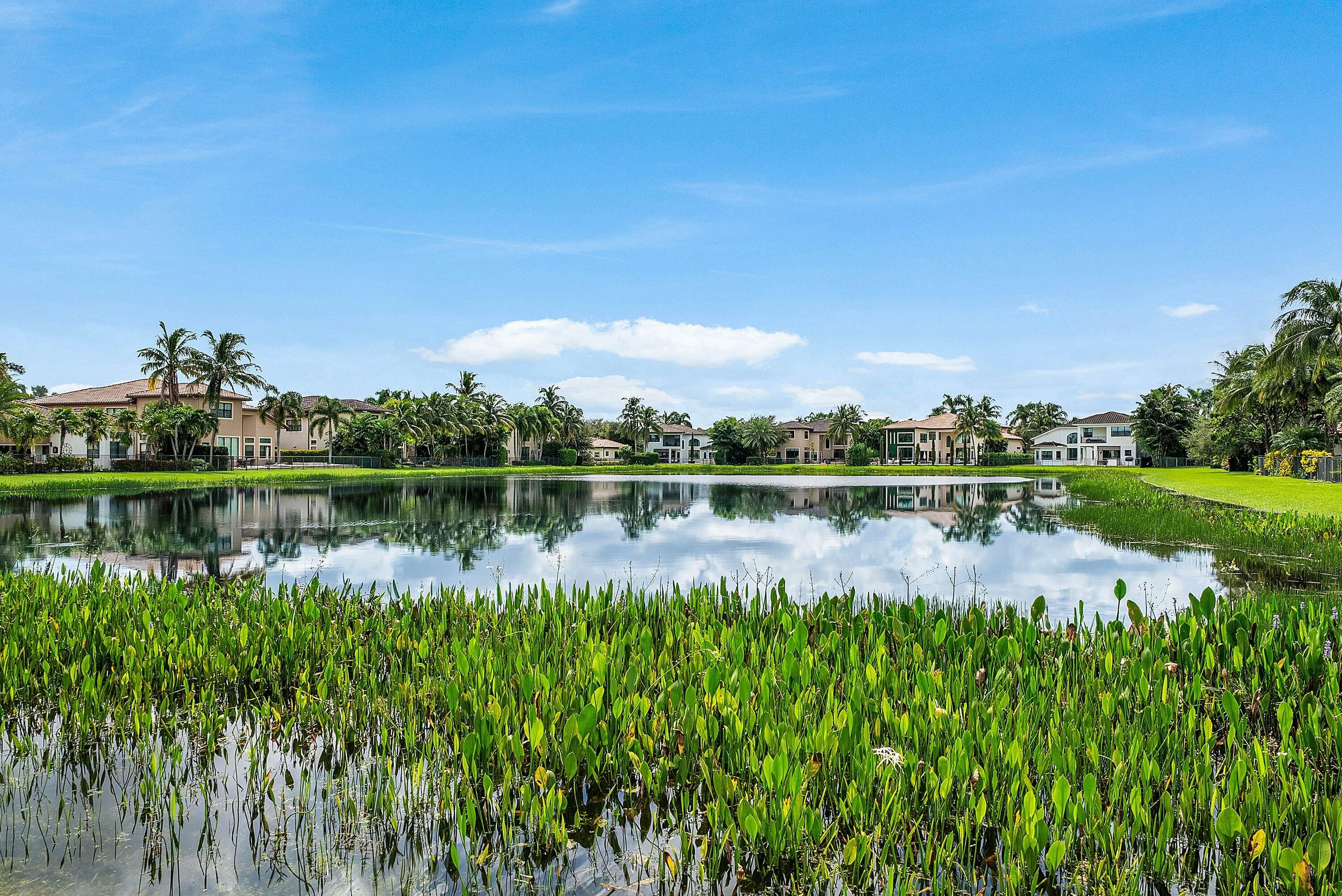 LONG LAKE VIEW