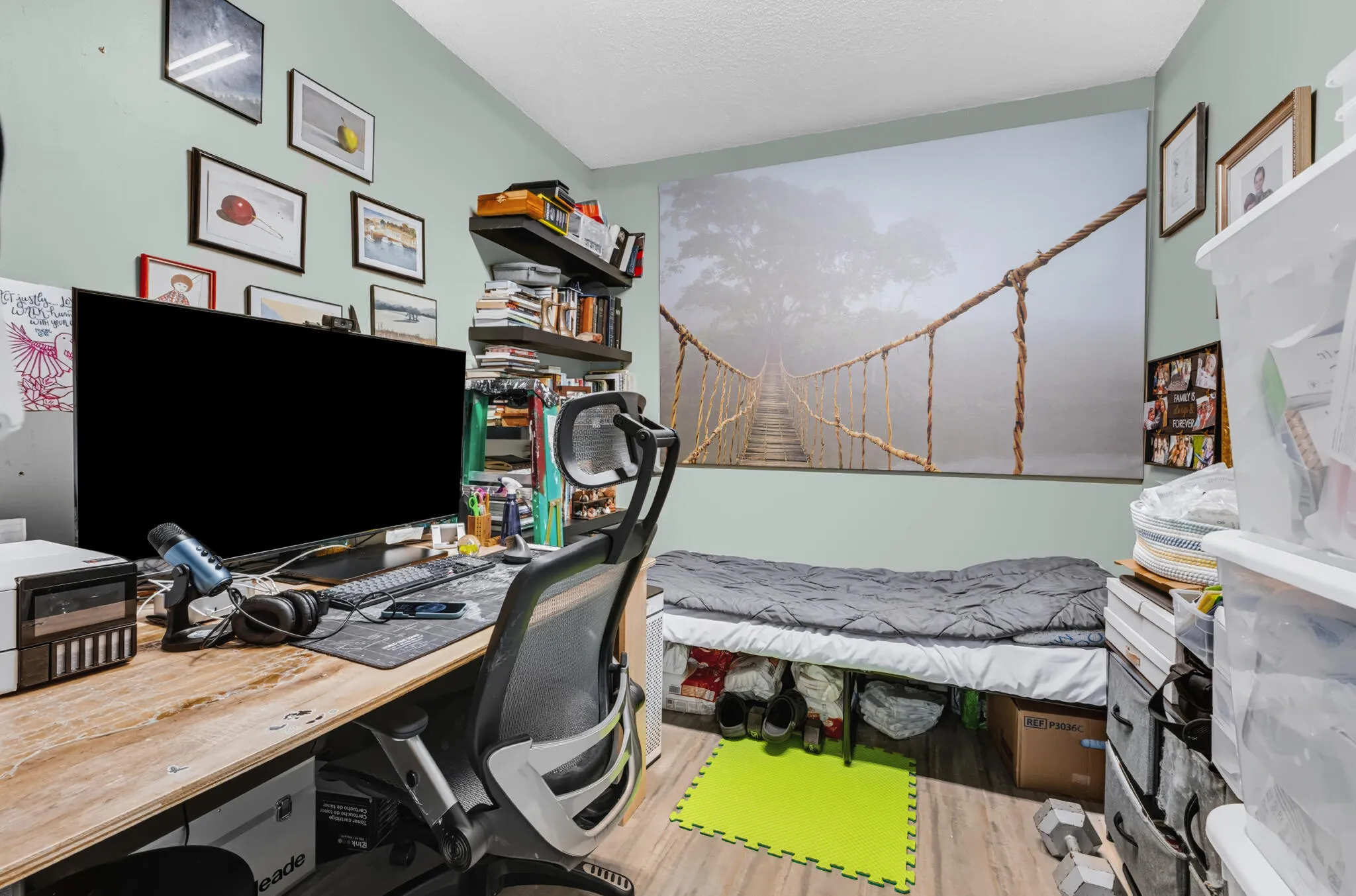 Den/office