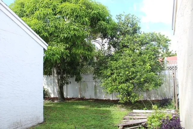 Side Yard