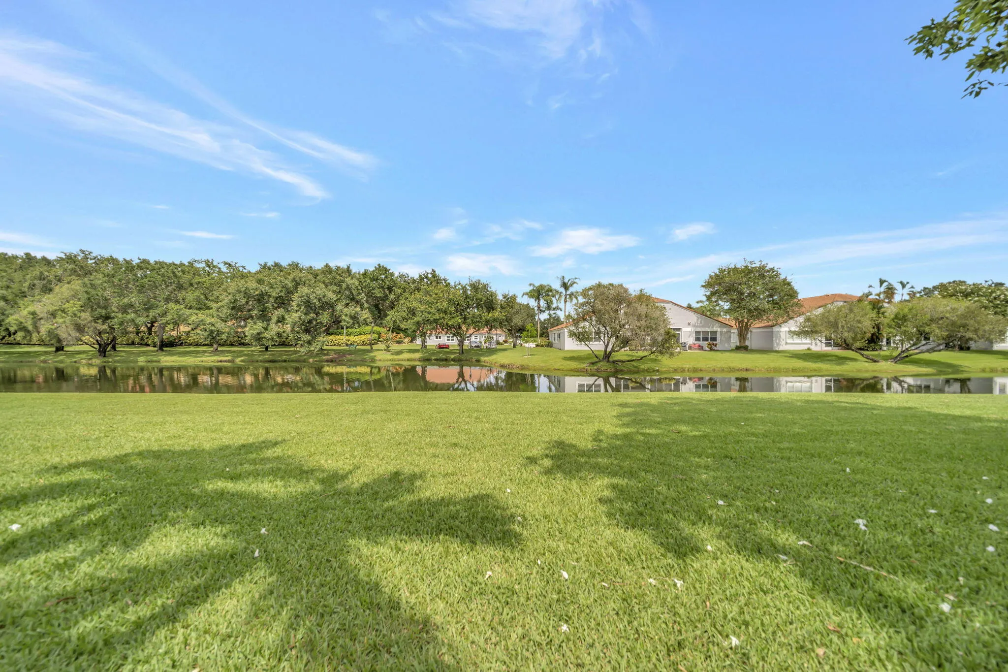 Green space behind home
