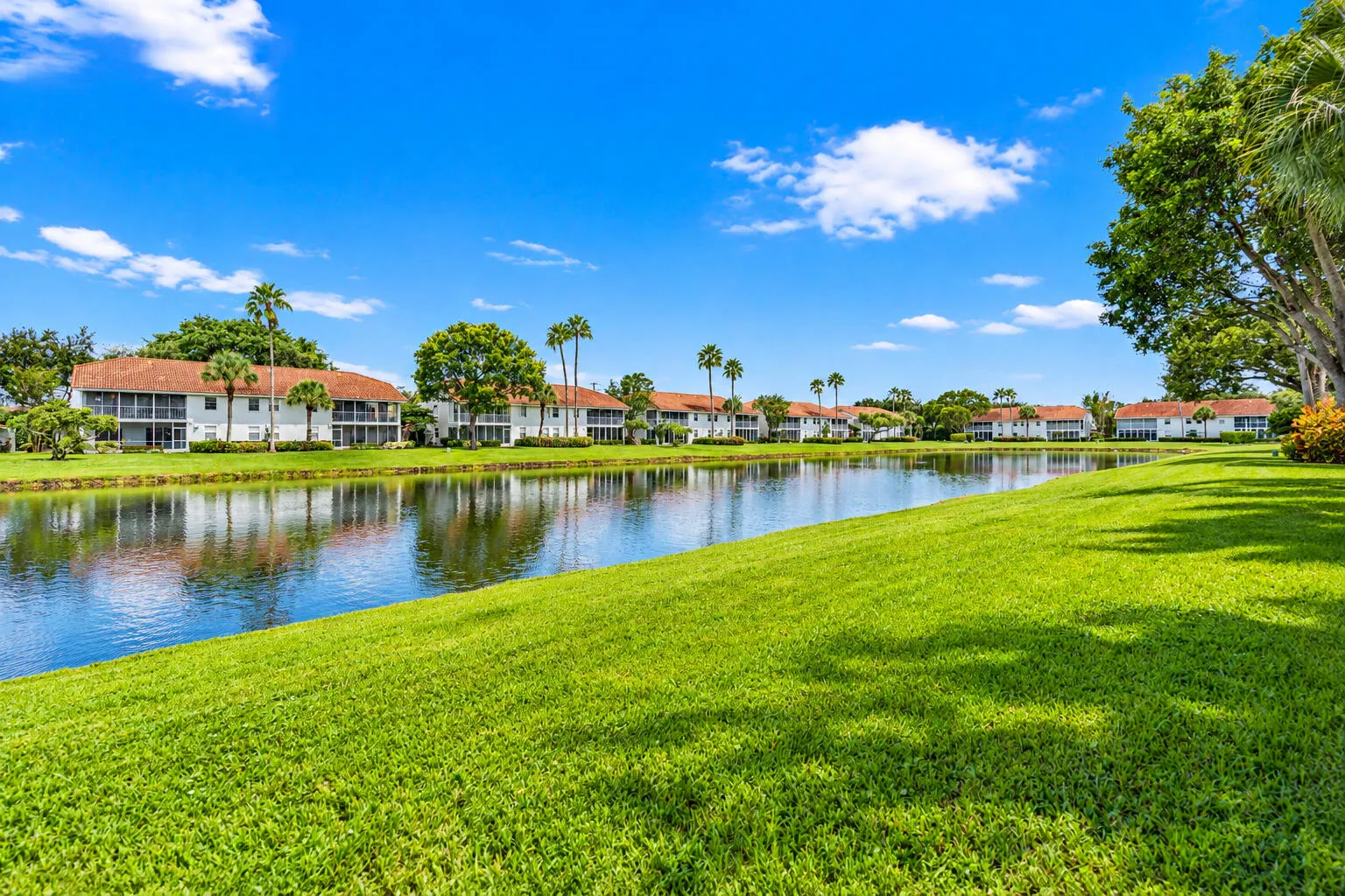 LAKE VIEW