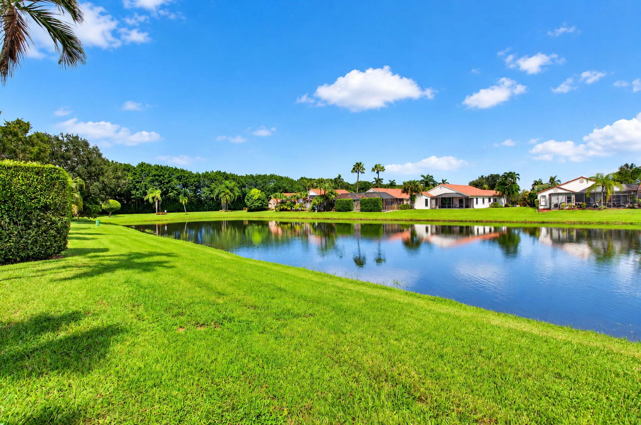 Lake view