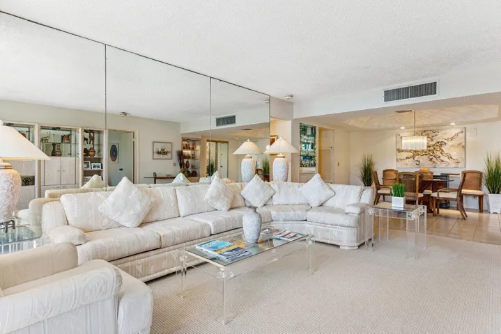 Large Living & Dining