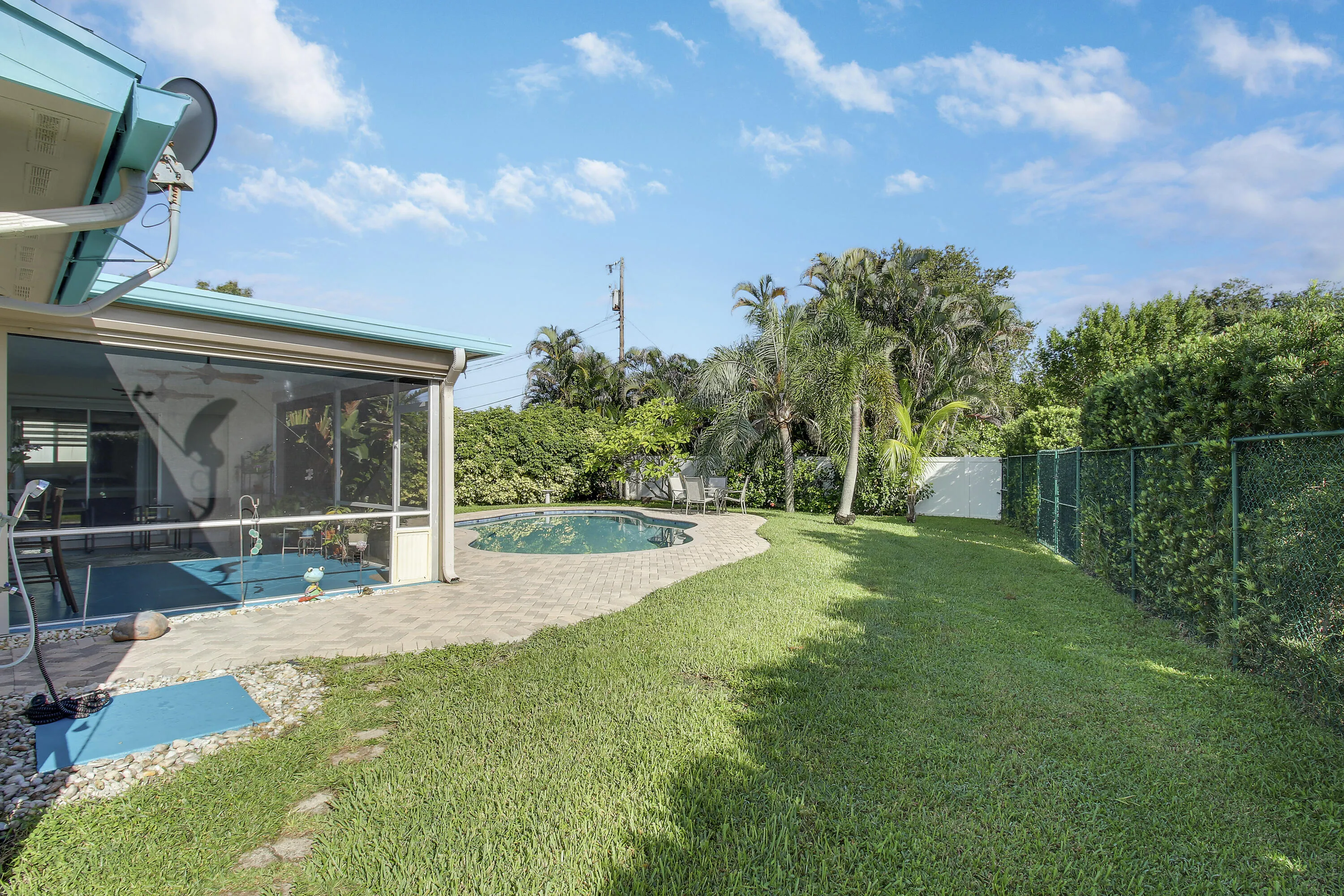Back yard