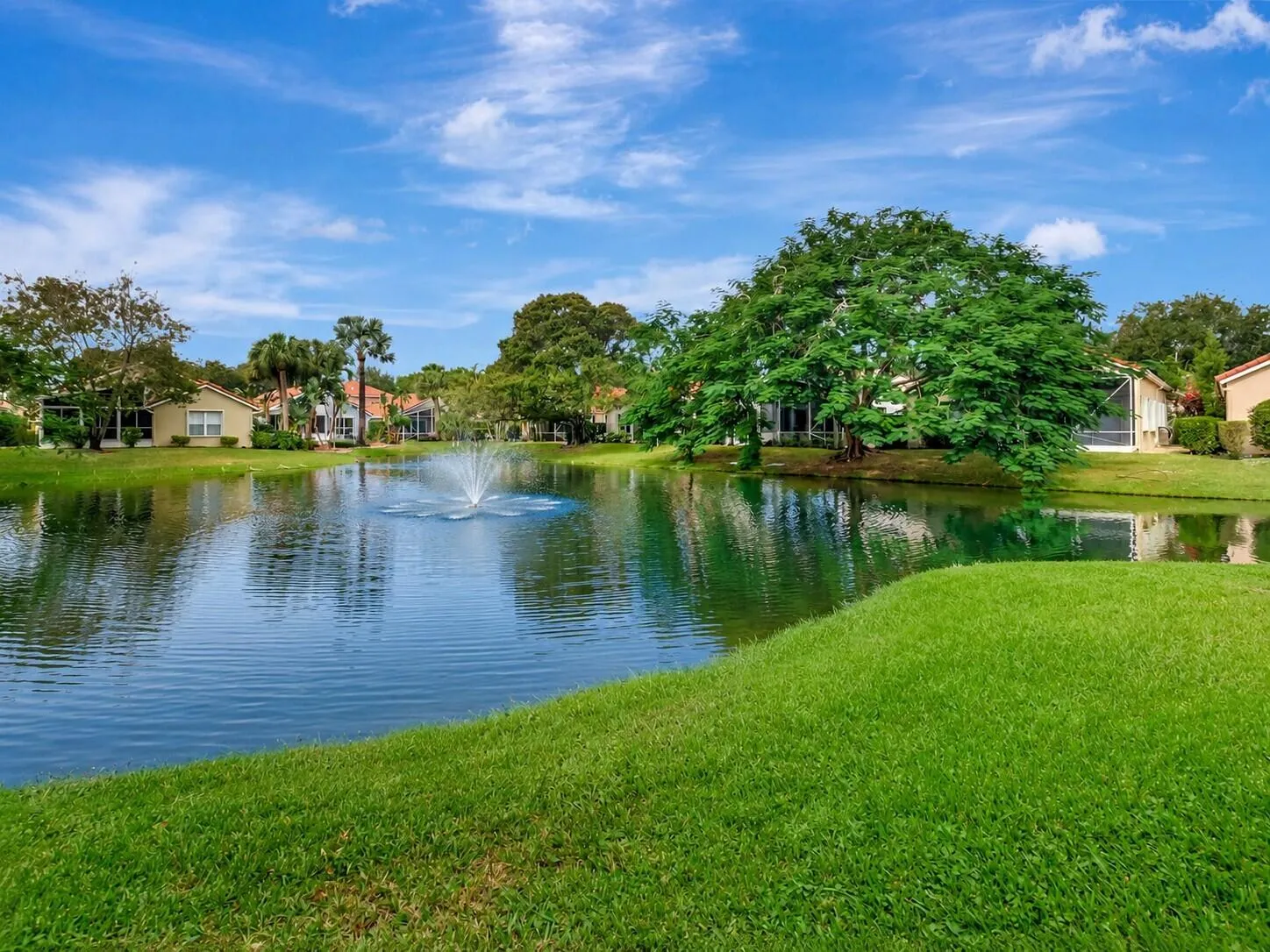 Lake view
