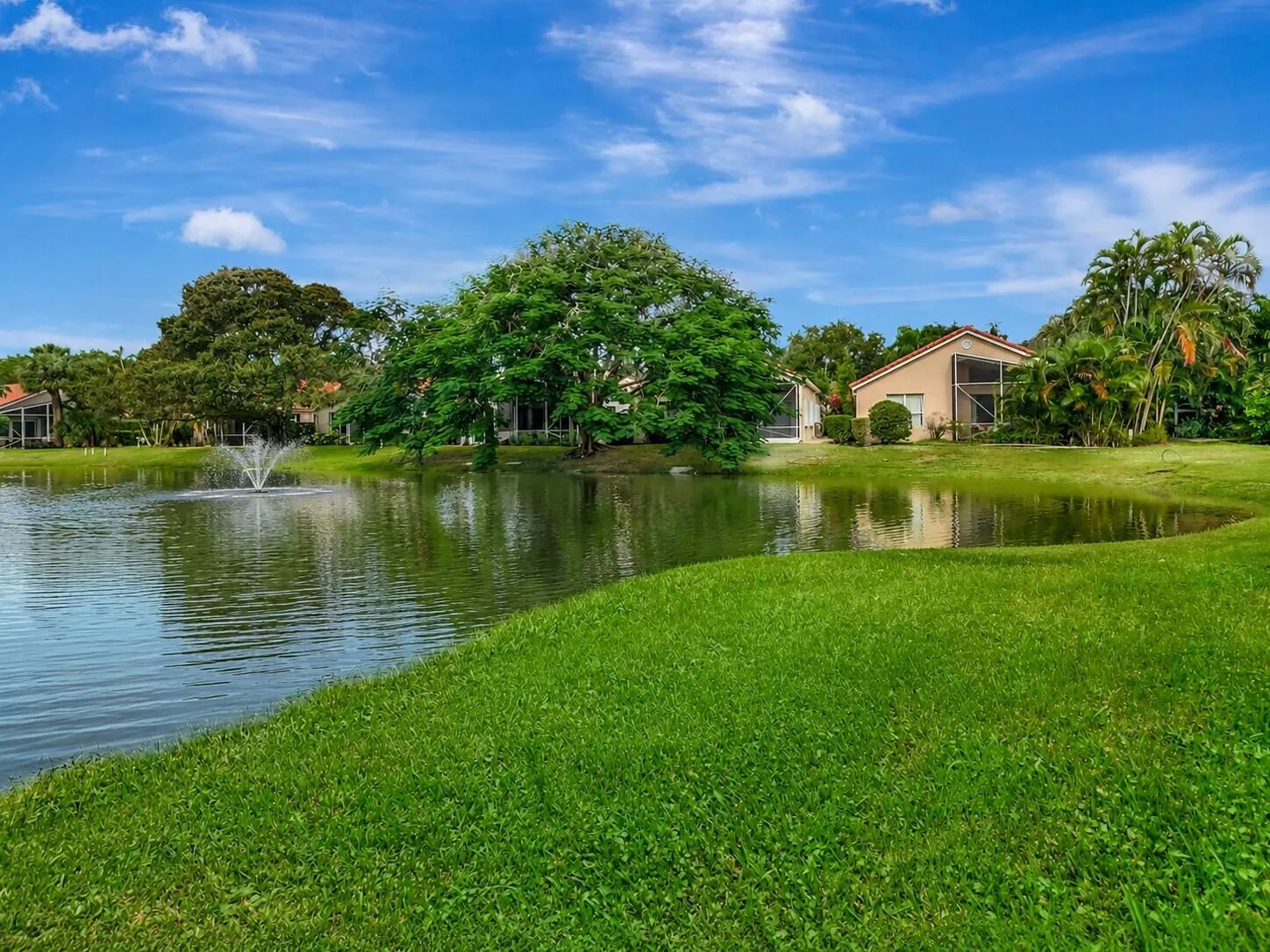 Lake view