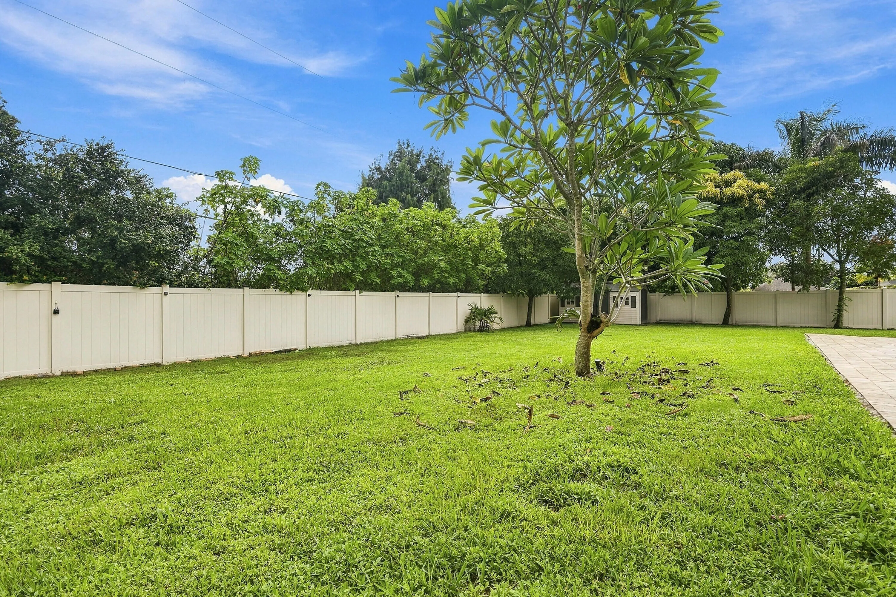 Yard