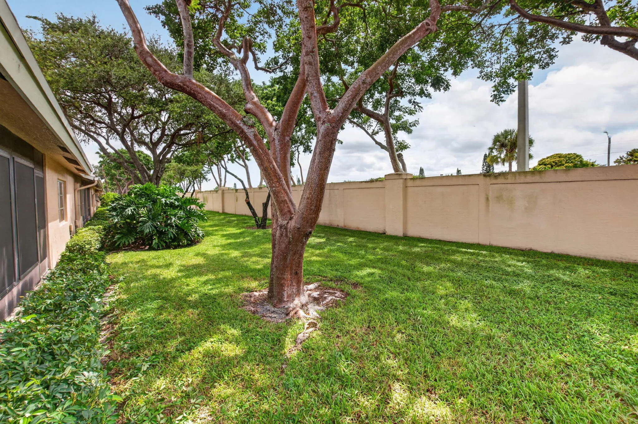 34-web-or-mls-DSC_5816
