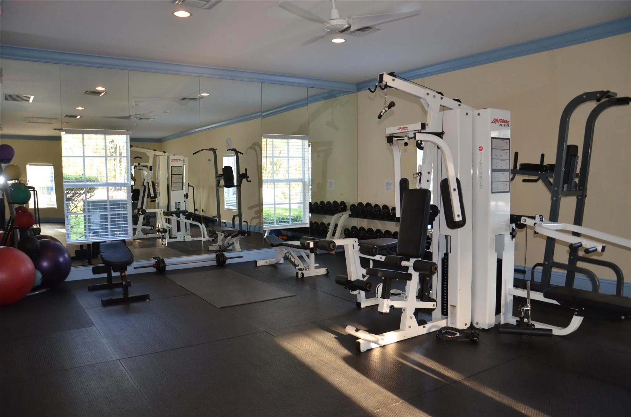 Gym