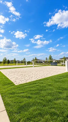 Voley Ball