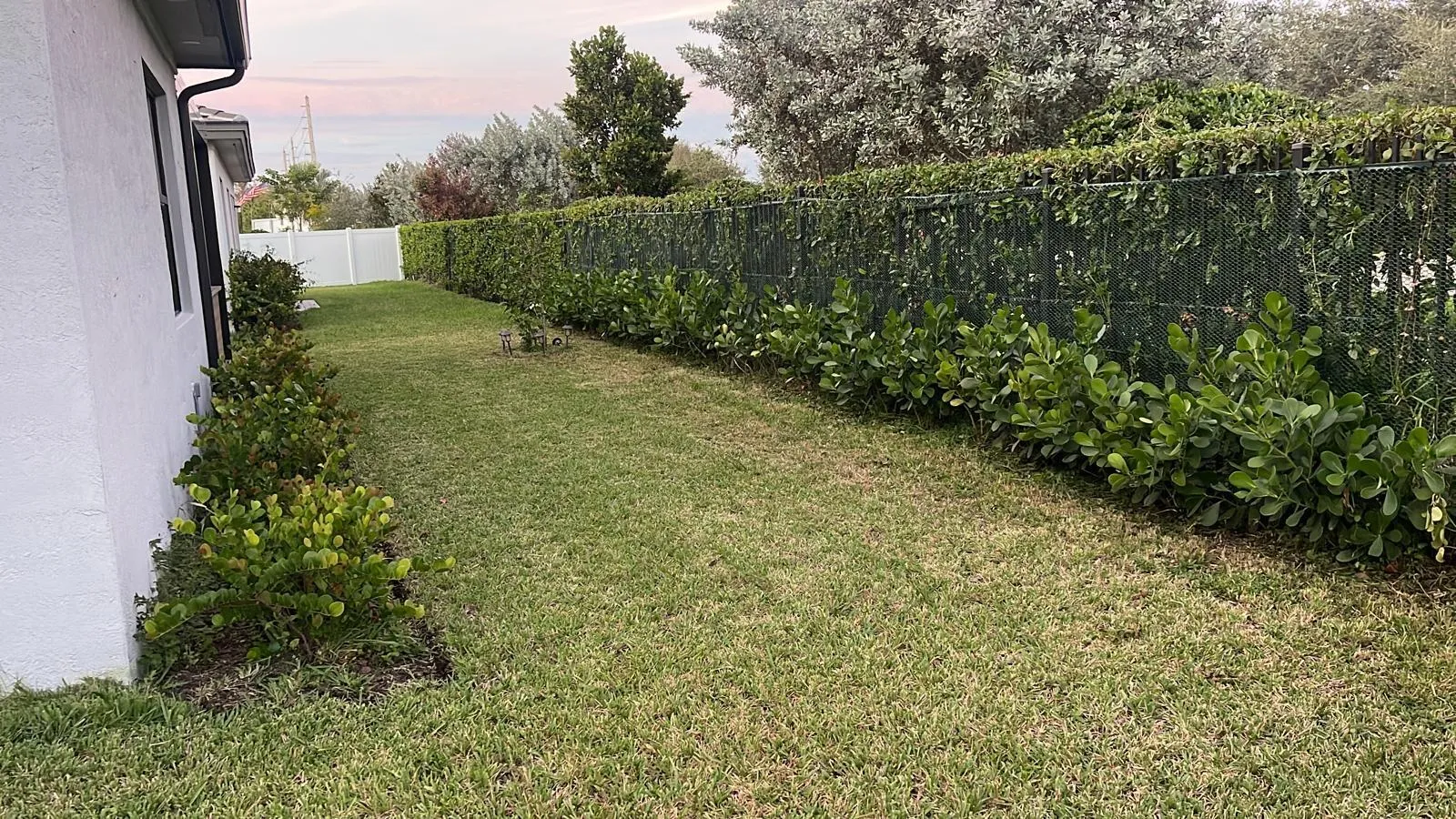 Back Yard View 2