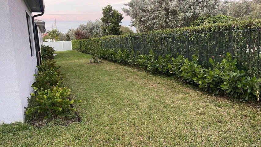Back Yard View 2