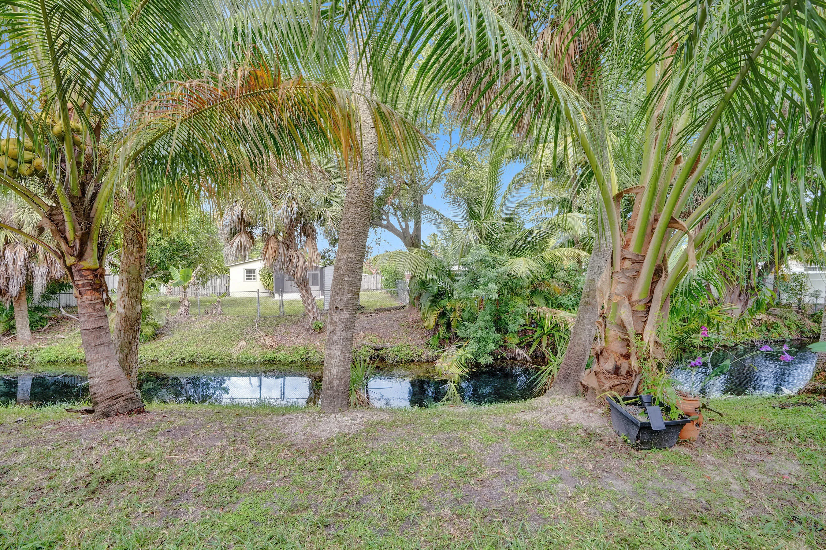 Lush tropical landscaping with multiple palm trees, verdant grass, and a tranquil water feature