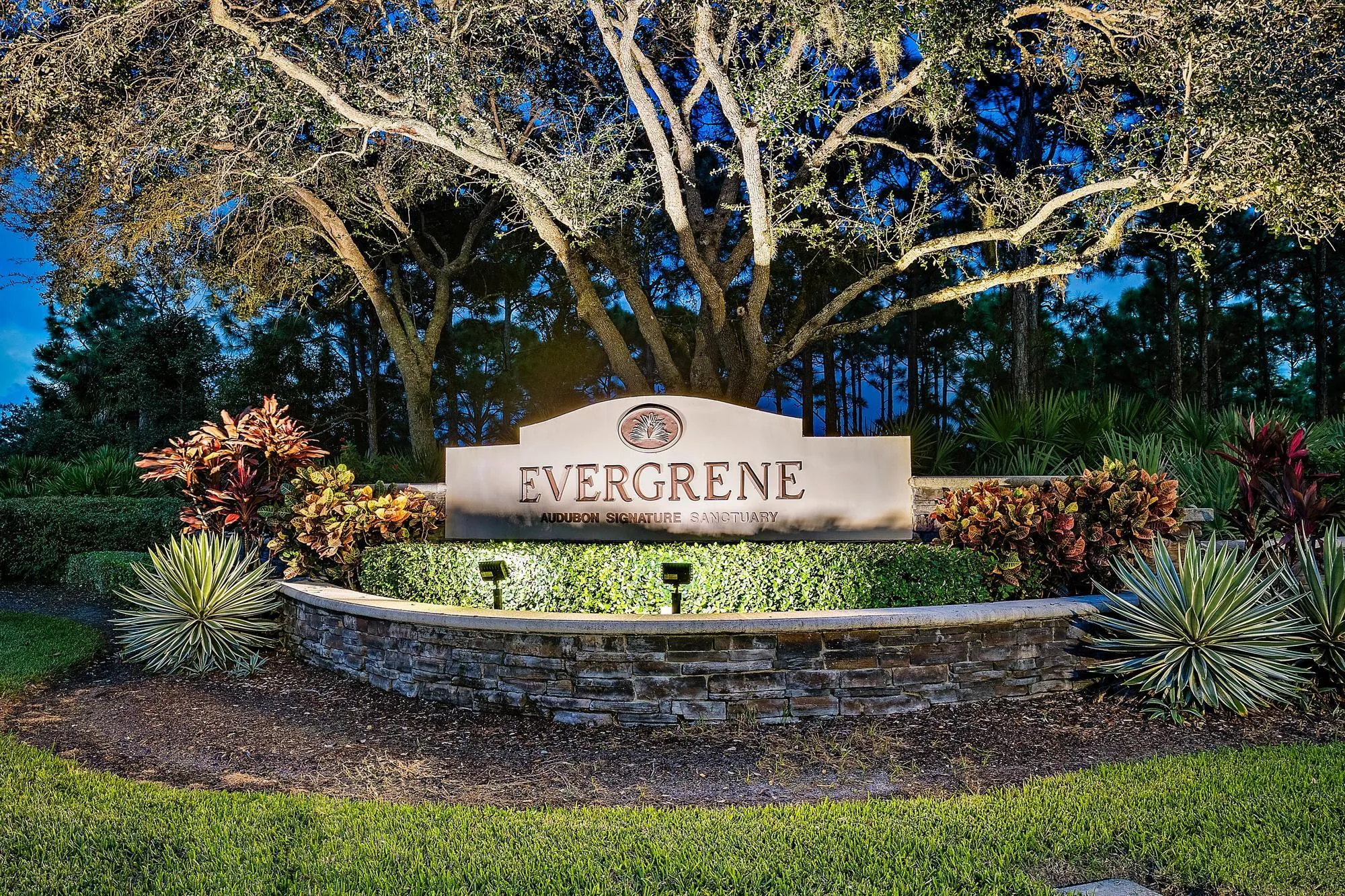 Evergrene