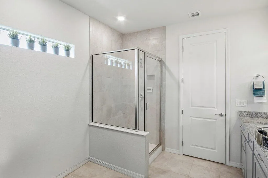 Primary Bathroom Shower