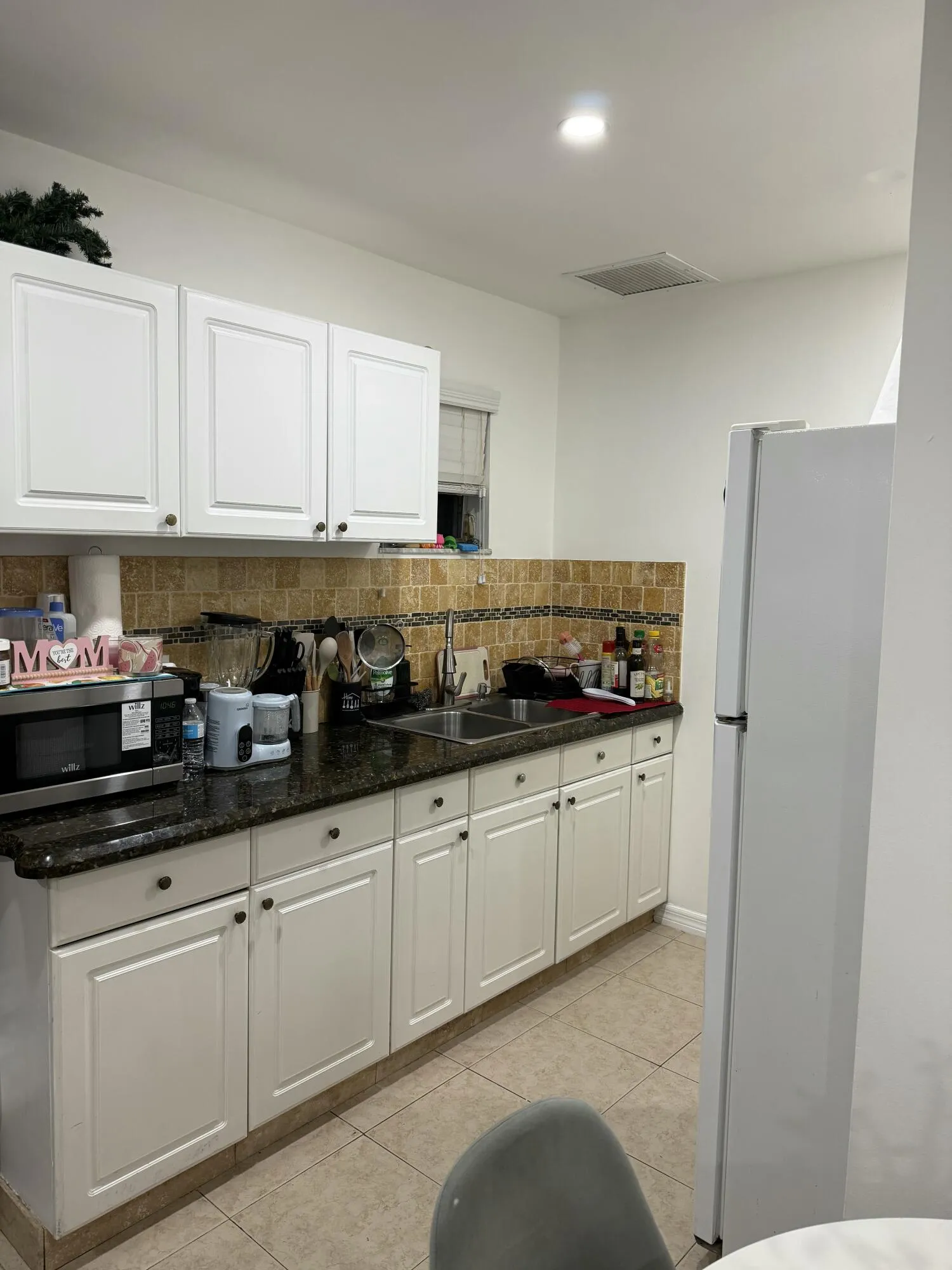 Mother in law suite-kitchen