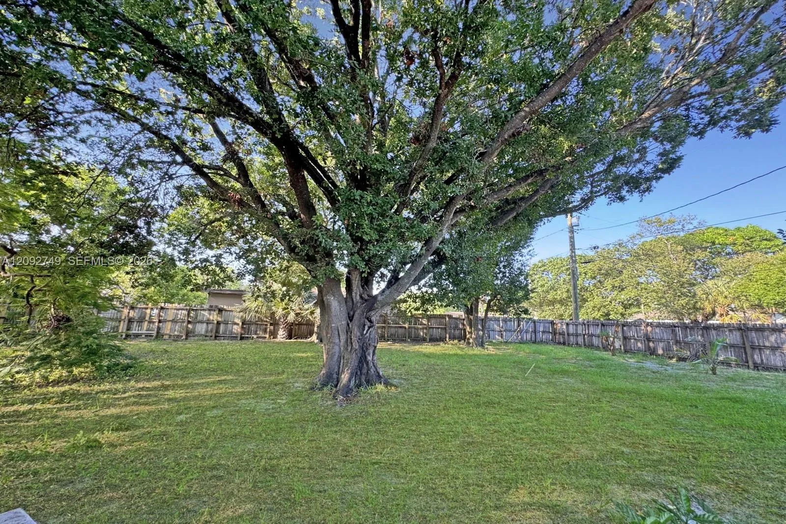 Photo 45