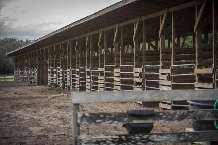 A Horse stable