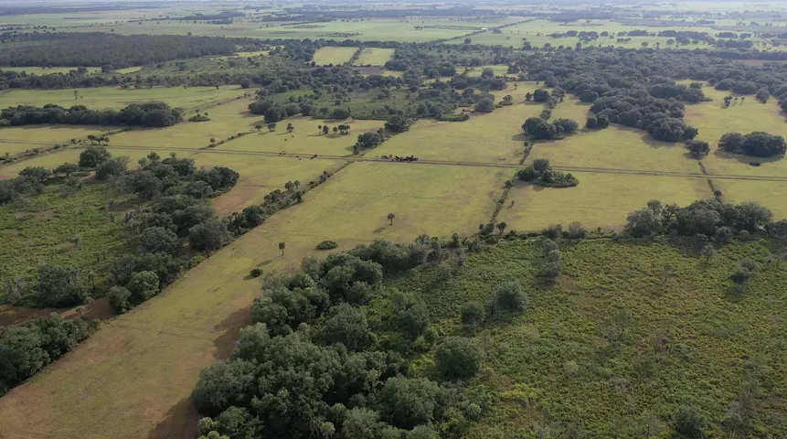 A Hunt Area