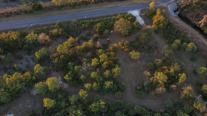 Lot 250 - Drone 3 copy