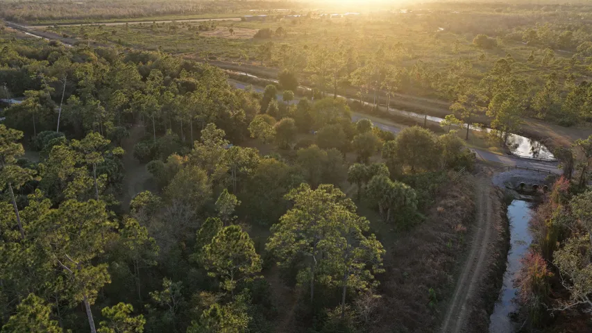 Lot 250 - Drone 8 copy