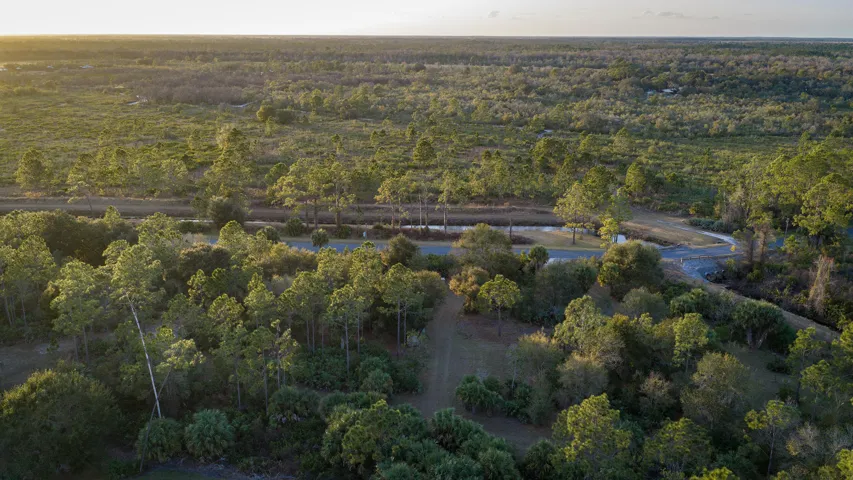 Lot 250 - Drone 5 copy