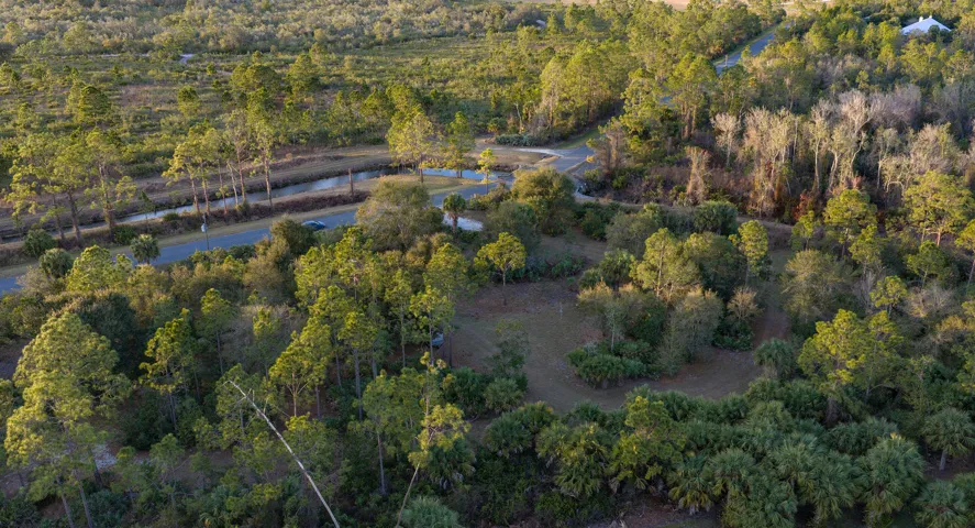 Lot 250 - Drone 7 copy