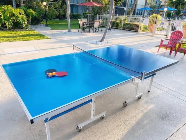 Ping Pong Table