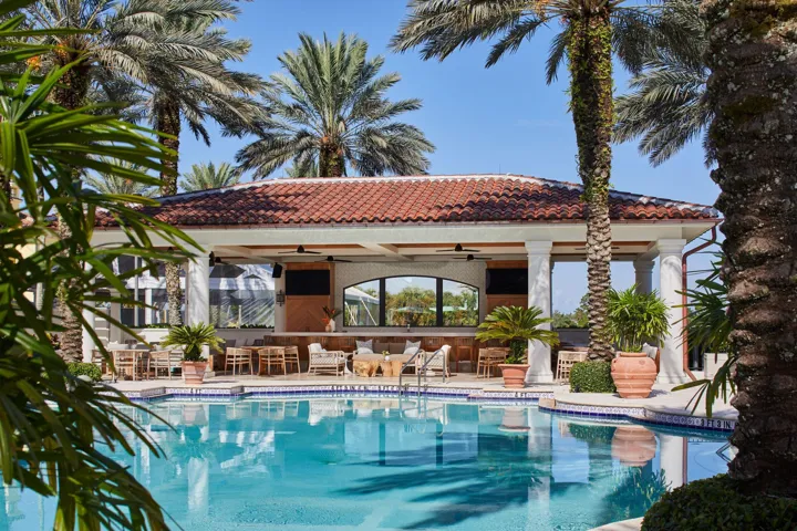 Swimming pool with a tiled perimeter, covered outdoor structure, and mature palm trees