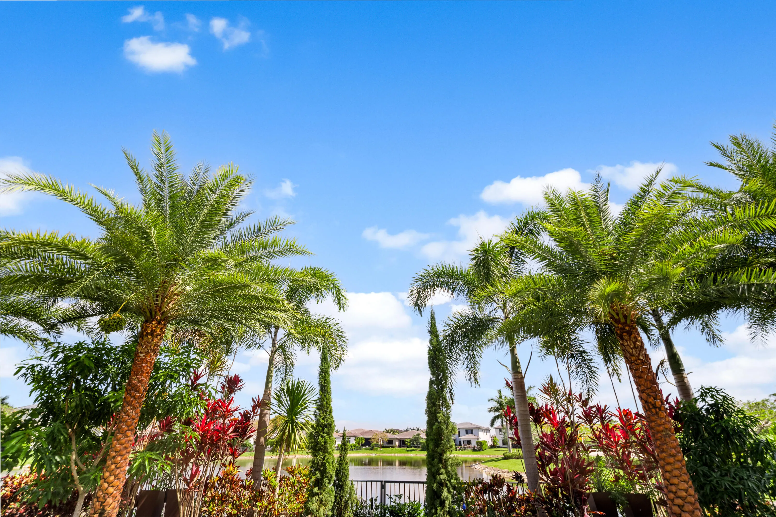 Property photo 48