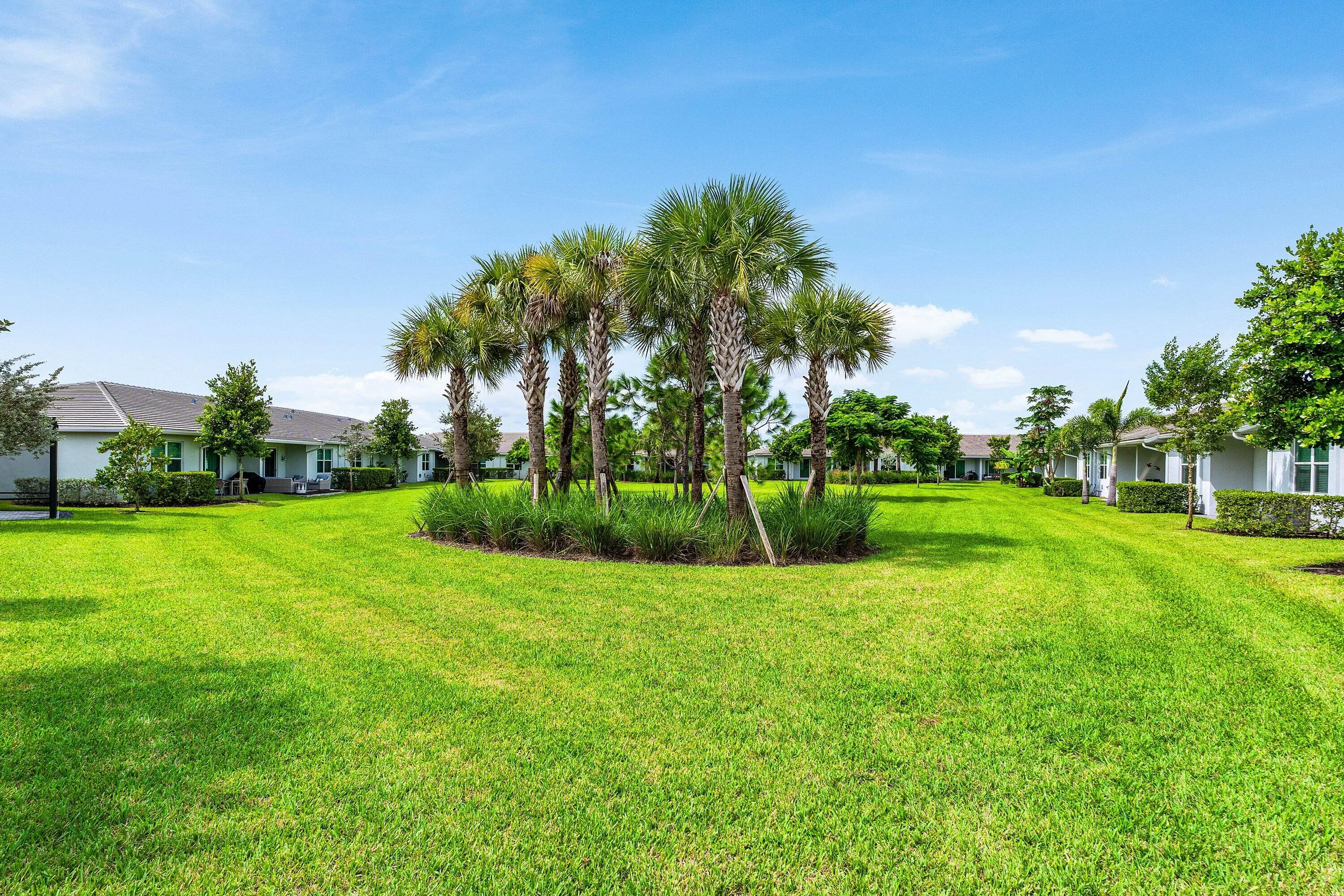 Backyard View
