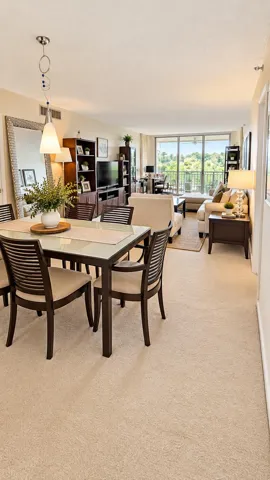 Dining-Living Room