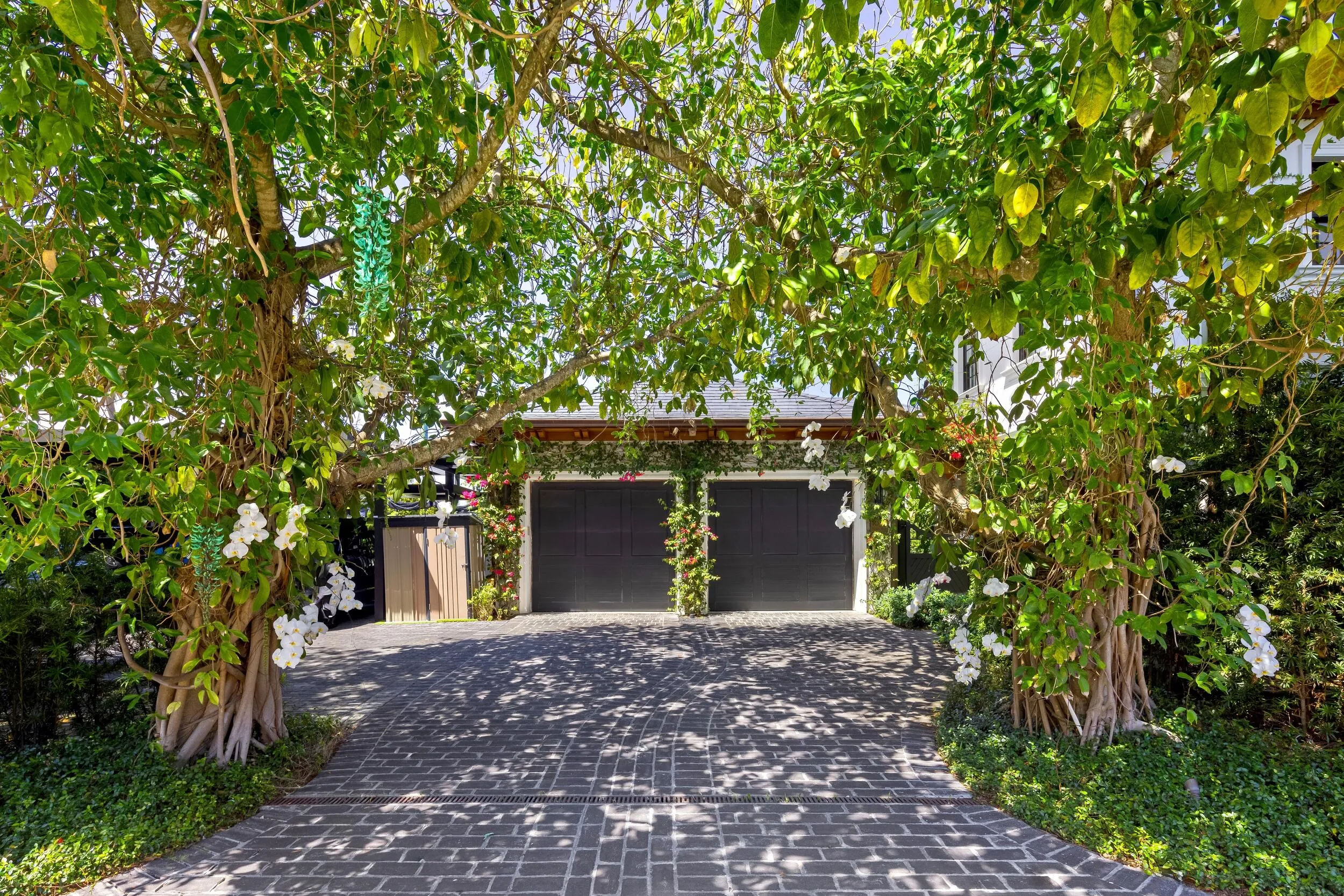 Driveway 1